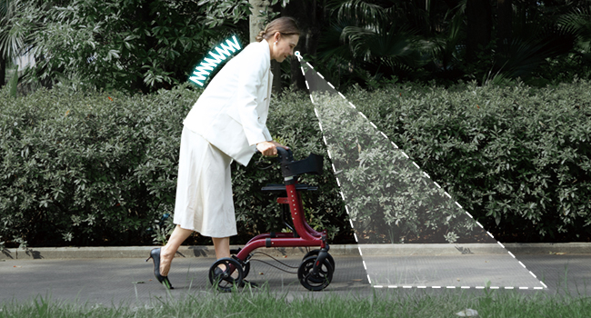 traditional rollator walker